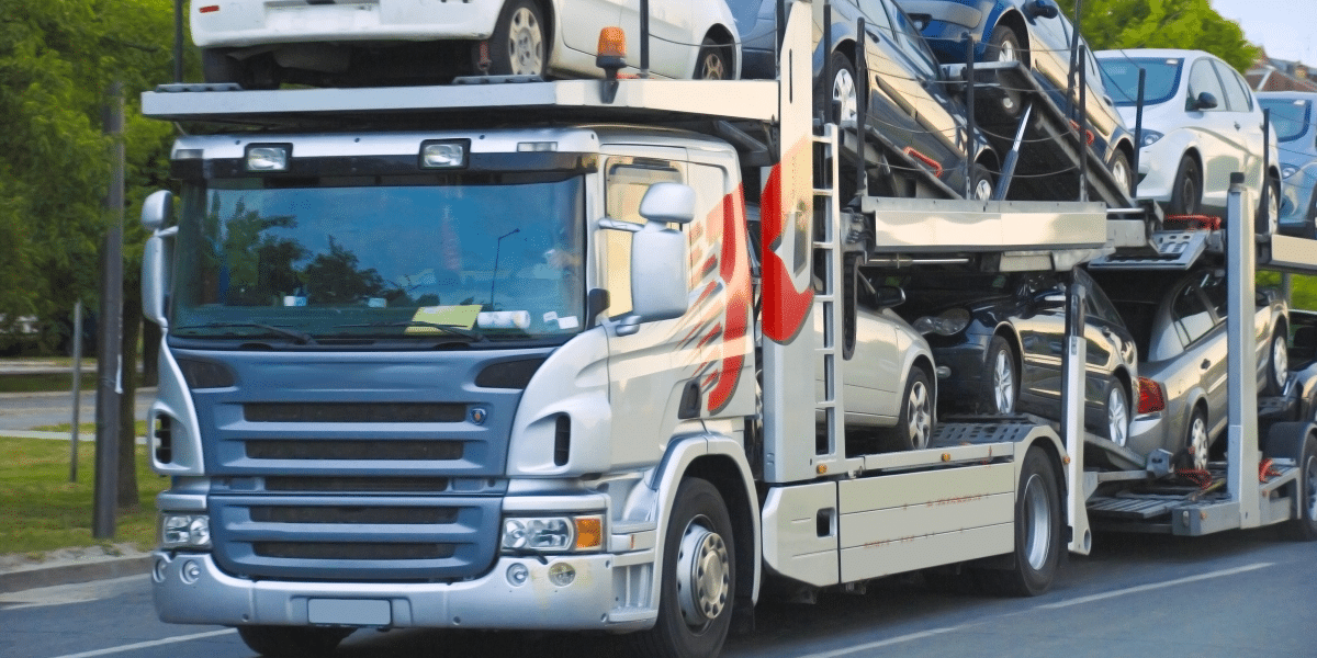 A Comprehensive Guide to Choosing the Right Transporter