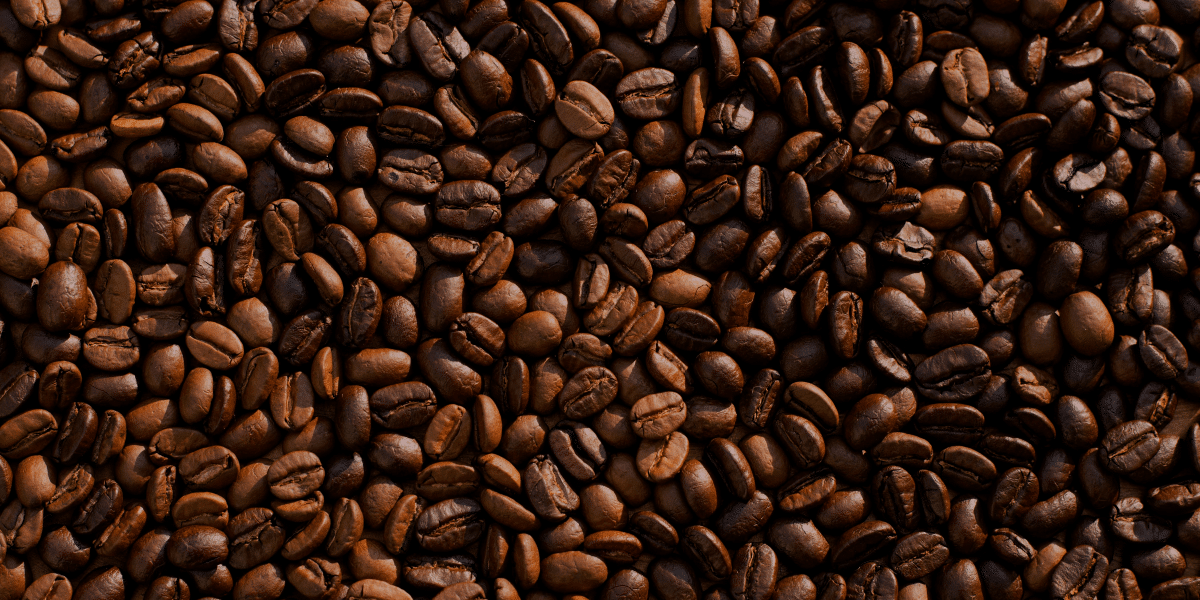 Coffee Culture Around the World