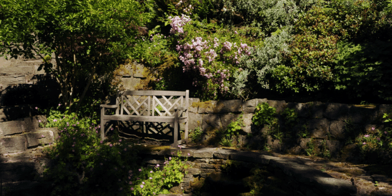 How to Make Your Backyard Feel Like a Private Retreat