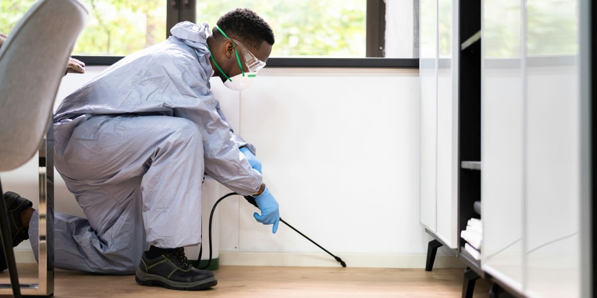 EcoCare Pest Control Unveils Complete In-House Rodent Control and Whole-Home Restoration