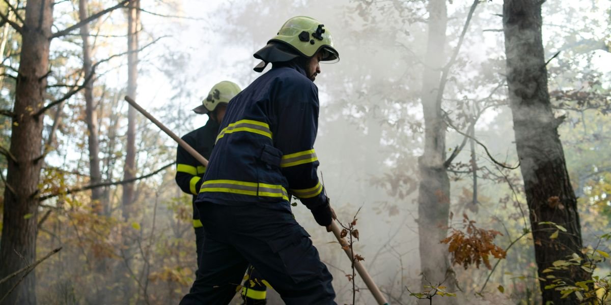 South Georgia Wildfires Destroy Homes and Force Evacuations as Drought Grips the State