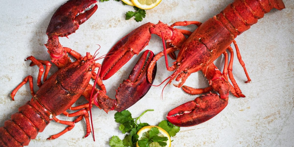 Chops Lobster Bar Expands to Centennial Yards A New Chapter for Downtown Atlanta Dining